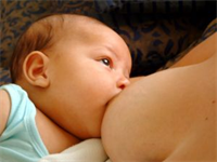Děloha po porodu - kojení pomůže