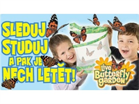 Pojďte s dětmi objevovat svět hmyzu a prohlubte tak jejich vztah k přírodě