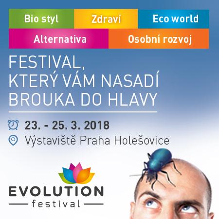 festival Evolution